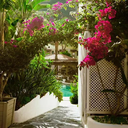 Kassandra Hotel